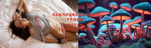 прущие крисы Армянск