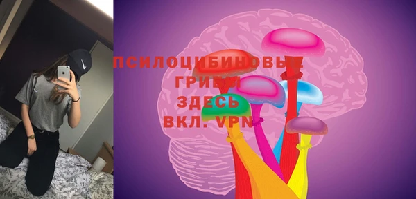 прущие крисы Армянск