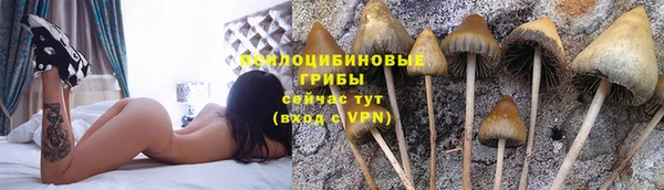 прущие крисы Армянск